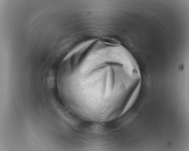 X0000111920080200908171334