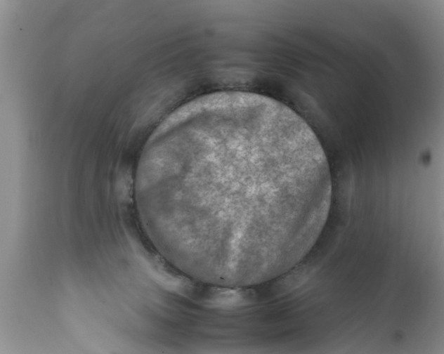 X0000111920083200908171334