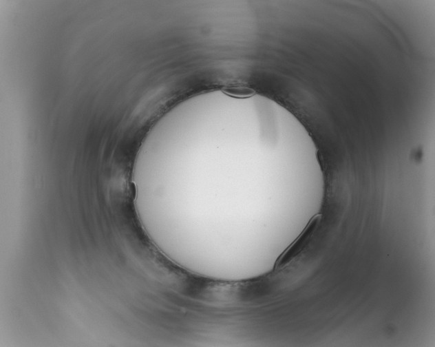 X0000111920084200908171334