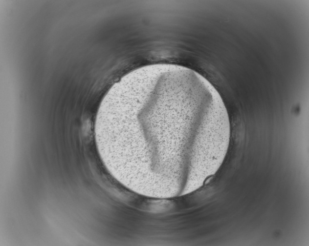 X0000111920087200908171334