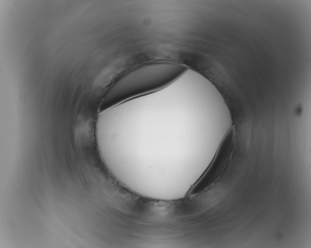 X0000111920088200908171334