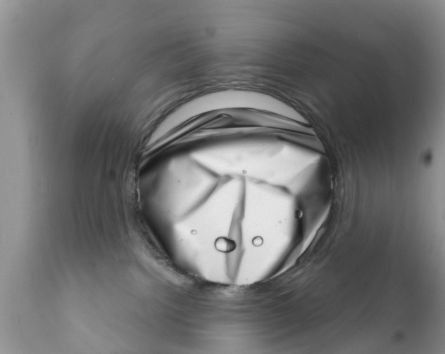 X0000111920092200908171334