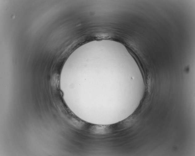 X0000111920093200908171334