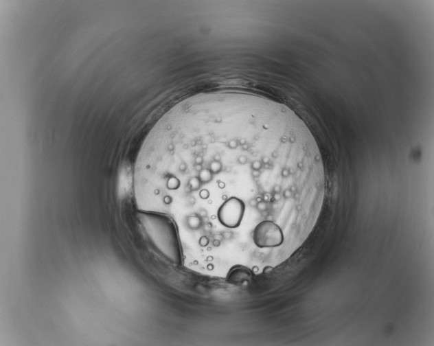 X0000111920095200908171334