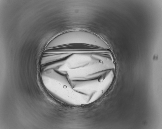 X0000111920097200908171334