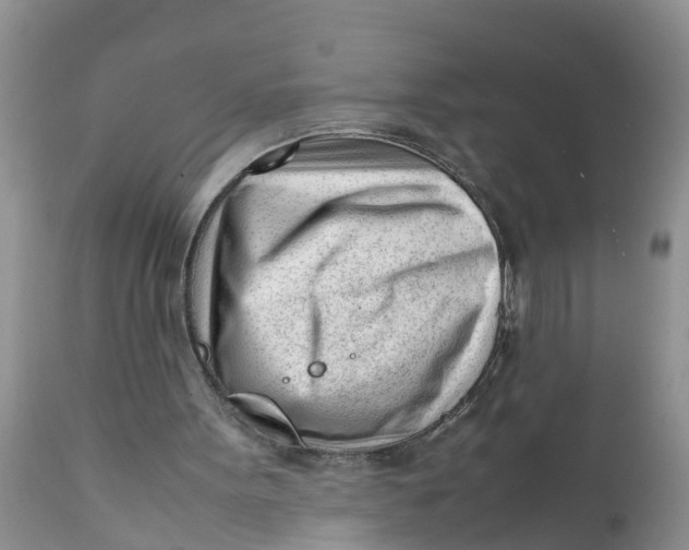 X0000111920099200908171334