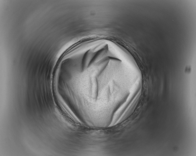 X0000111920100200908171334