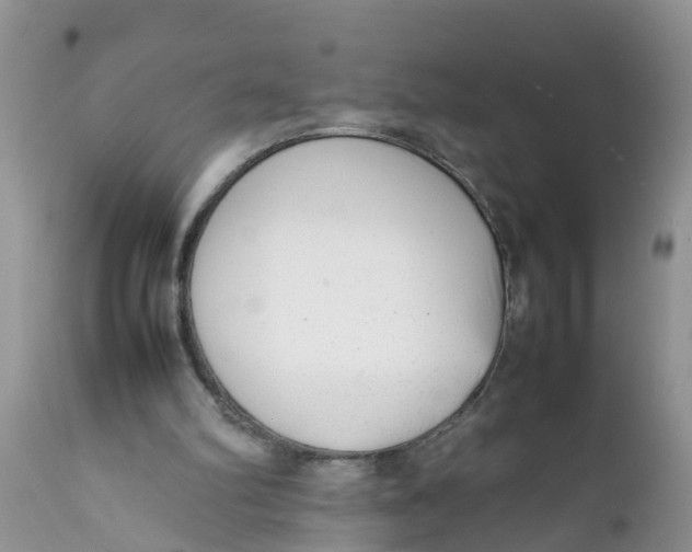 X0000111920102200908171334