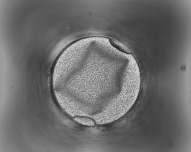 X0000111920103200908171334