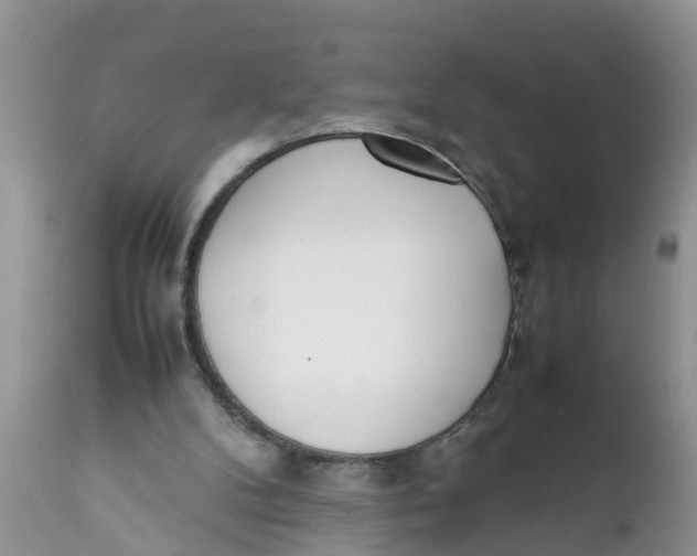 X0000111920104200908171334