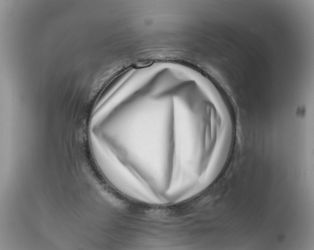 X0000111920105200908171334