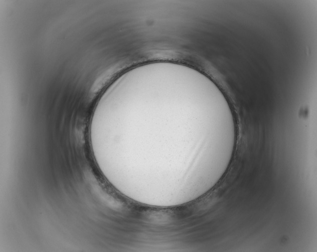 X0000111920106200908171334