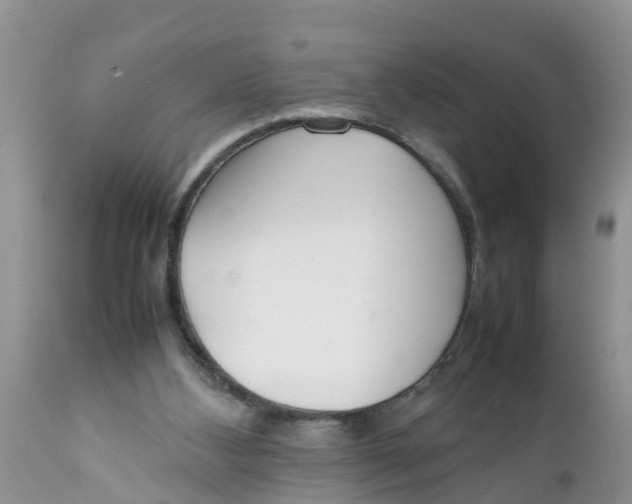 X0000111920108200908171333