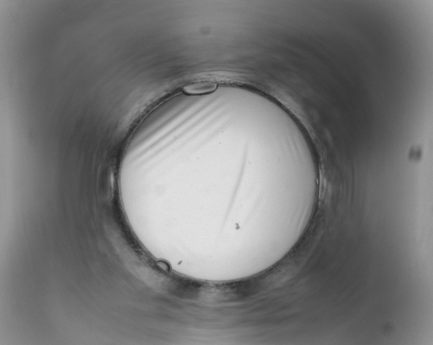 X0000111920109200908171333