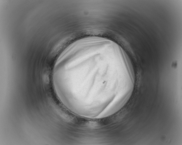 X0000111920114200908171333