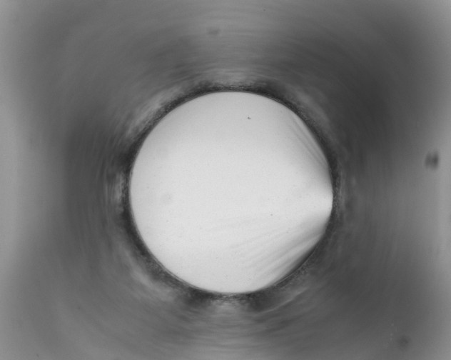 X0000111920115200908171333