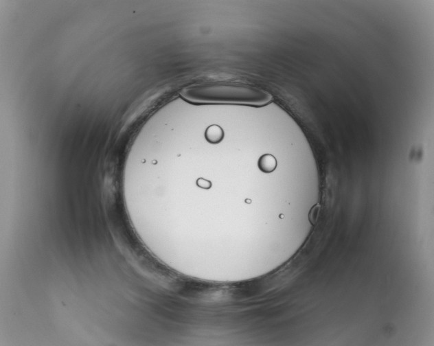 X0000111920116200908171333