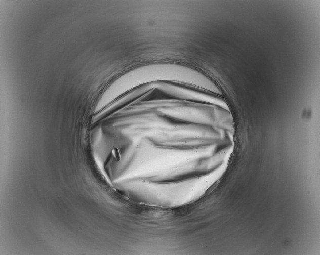 X0000111920117200908171333