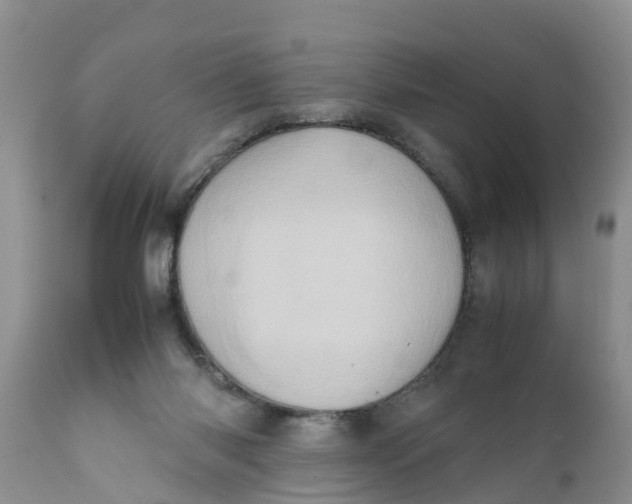 X0000111920118200908171333