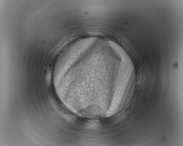 X0000111920124200908171333