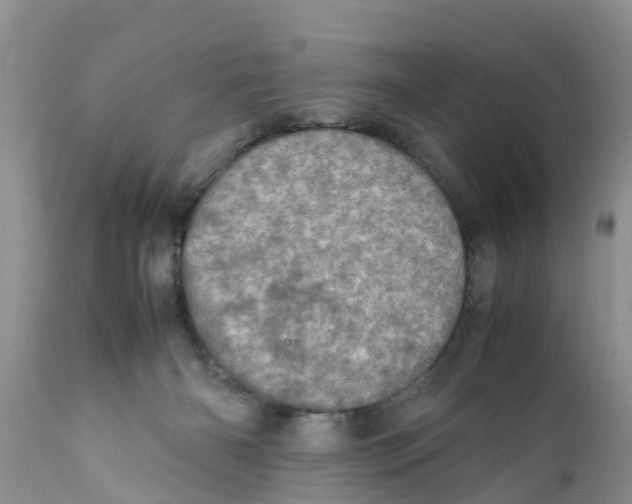 X0000111920126200908171333