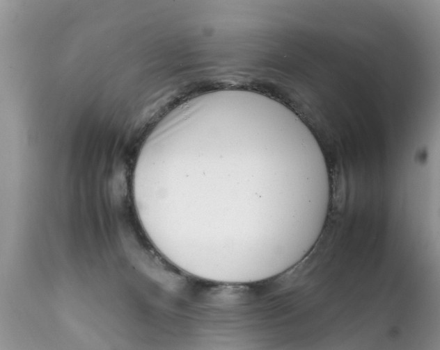 X0000111920128200908171333