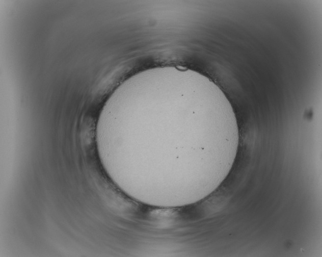 X0000111920133200908171333