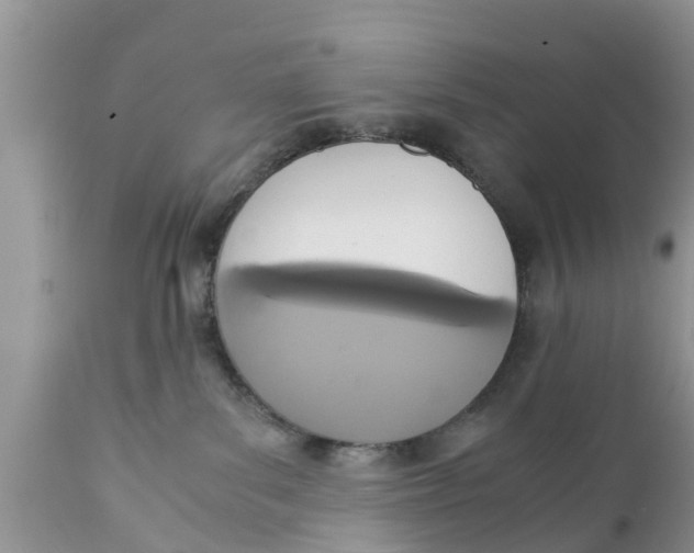 X0000111920139200908171333