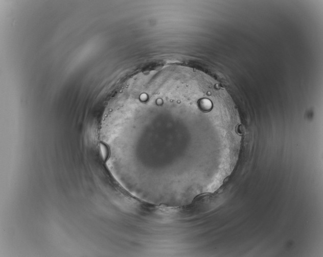 X0000111920143200908171333