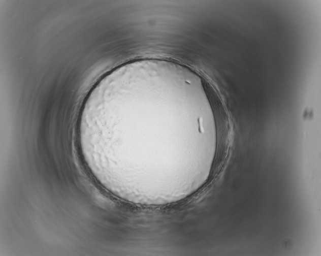 X0000111920145200908171332