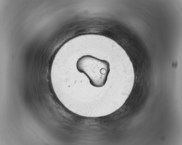 X0000111920146200908171332