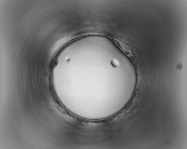 X0000111920149200908171332