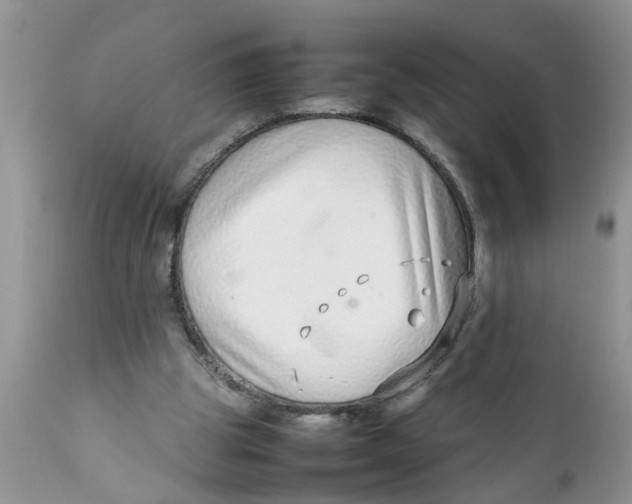 X0000111920153200908171332