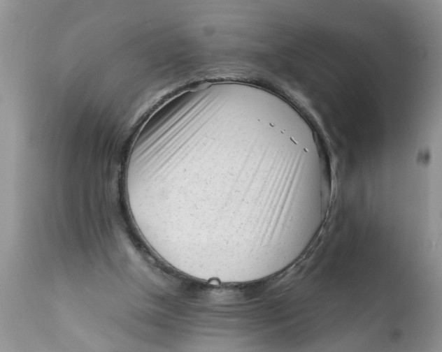 X0000111920154200908171332