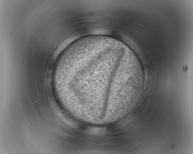 X0000111920155200908171332