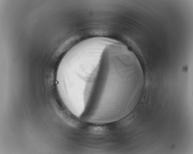 X0000111920163200908171332