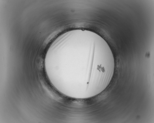 X0000111920164200908171332