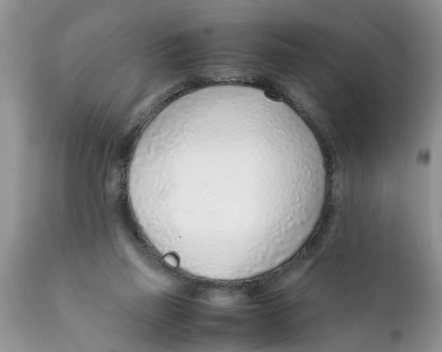 X0000111920165200908171332