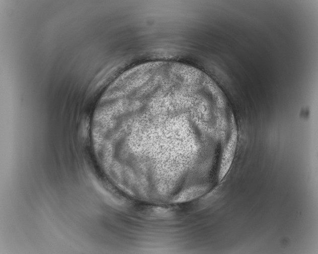 X0000111920166200908171332