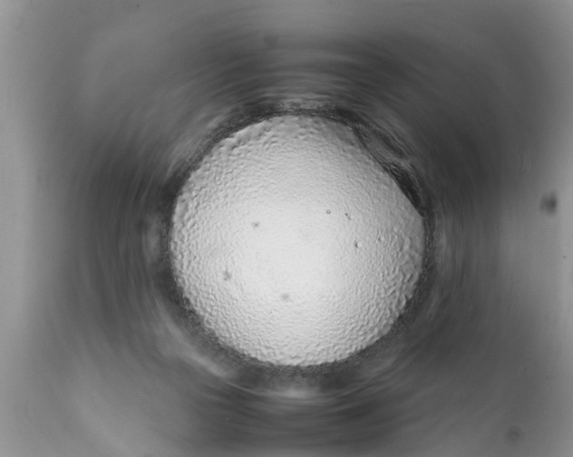 X0000111920169200908171332