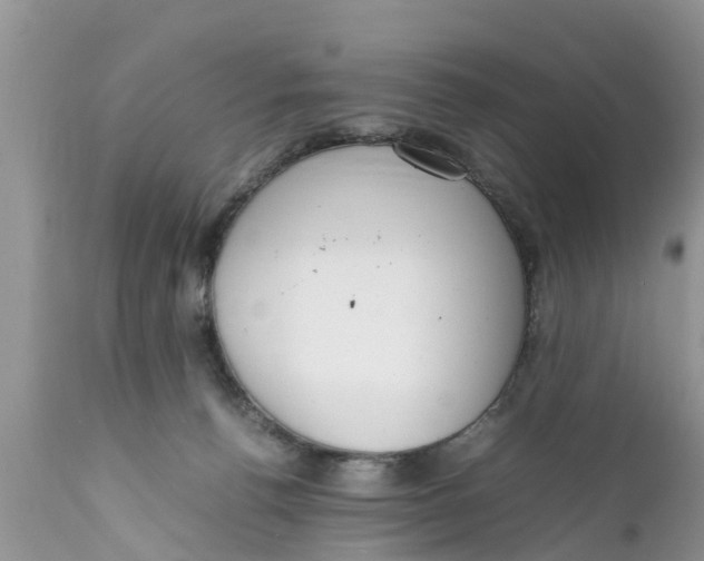 X0000111920176200908171333