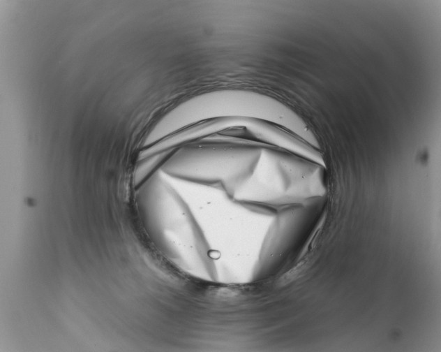 X0000111920180200908171333