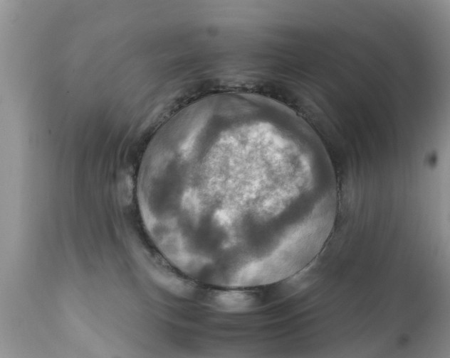 X0000111920183200908171333