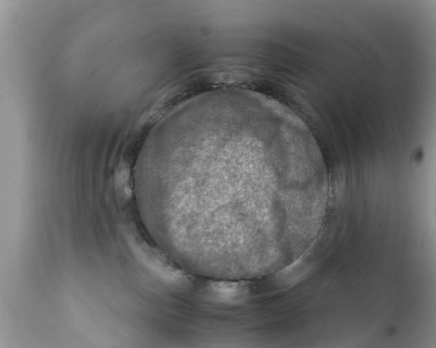 X0000111920187200908171333