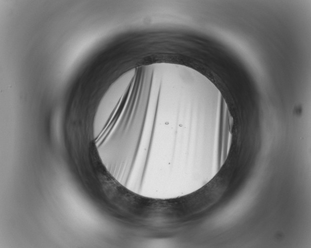 X0000111920189200908171333