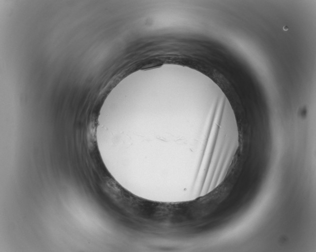 X0000111920190200908171333