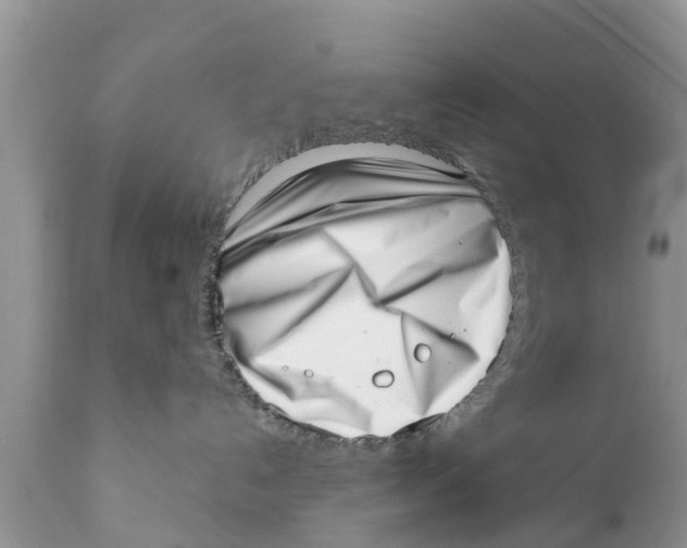 X0000111920192200908171333