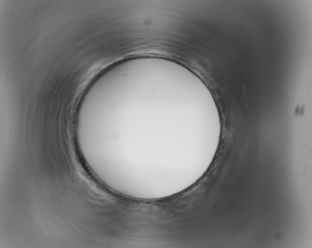 X0000111920193200908171332