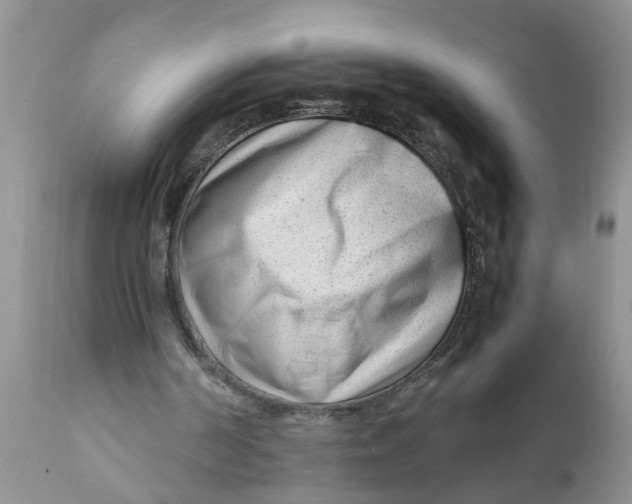 X0000111920194200908171332