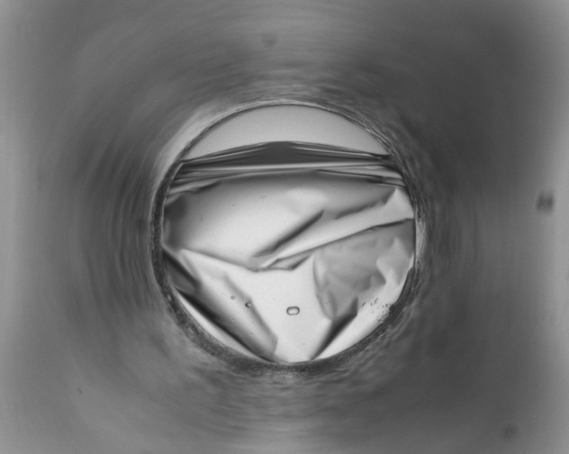 X0000111920195200908171332